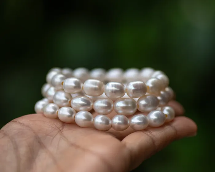 Single Freshwater Pearl Bracelet Vida Jewelry Designs Bracelets