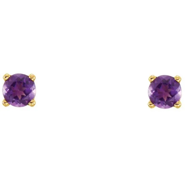 TreasureFineJewelers Earrings 14K Yellow Gold Natural Amethyst Youth Earrings