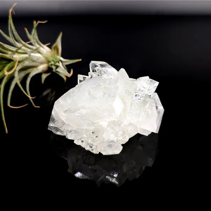 Bliss Crystals Charm Necklaces Diamond Apophyllite 25 Cluster LV5630