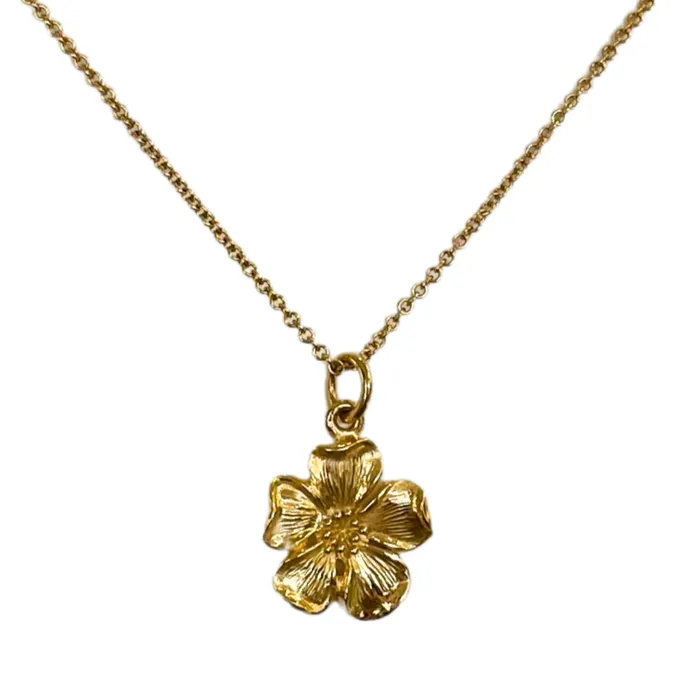 Lahaole Hawaii Necklaces Hau Wale N Necklace