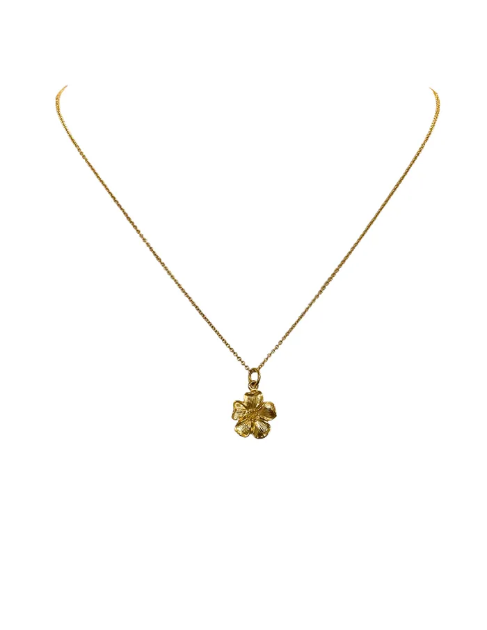 Lahaole Hawaii Necklaces Hau Wale N Necklace