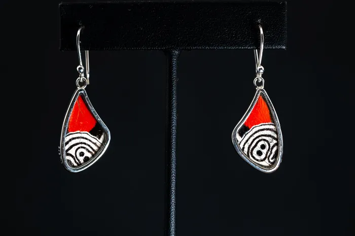 Sterling Silver Butterfly Wing Earrings Vicky Bates Earrings