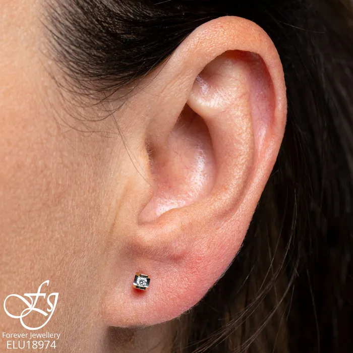 Earrings 10kt Yellow Gold Delicate Diamond Stud Earrings Forever Jewellery